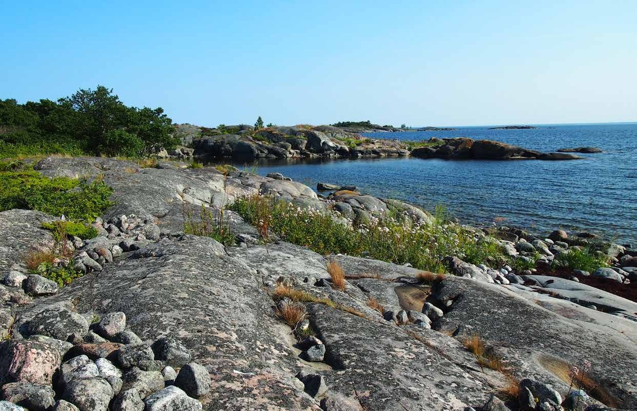 KUST Sveriges kust varierar från de saltstänkta klipporna i Bohuslän via Stockholms skärgård till Norrbottens sötvattenspräglade landhöjningsstränder och är en av de längsta kustlinjerna inom EU.