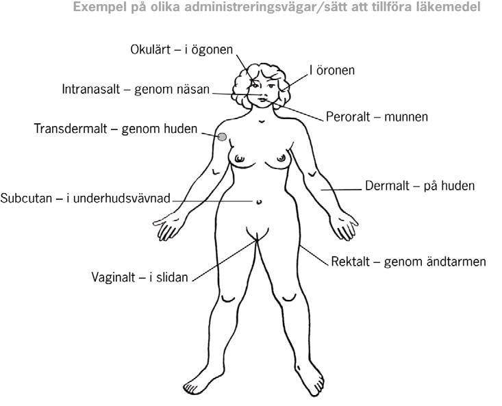 8 (14) Läkemedelsformer Ett läkemedel kan förekomma i många olika former som beror på hur man tillverkar det, tar det eller vill att det ska fungera.