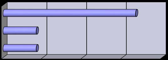 medarbetare Ingen dokumentation 0,0% 50,0% Annat sätt 25,0% 0,0% 20,0% 40,0% 60,0% 80,0% 10.