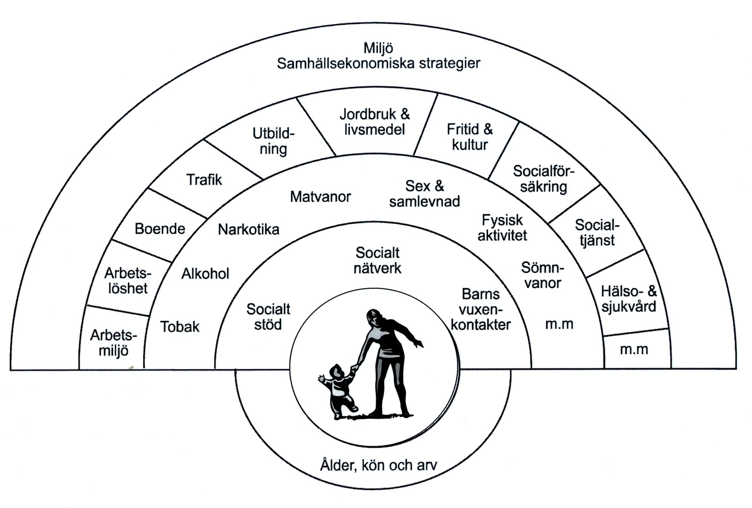 Figur 1 Hälsans bestämningsfaktorer (efter Dahlgren G, Whitehead M. Policies and strategies to promote social equity in health. Stockholm: Institute for Future Studies, 1991) 2.