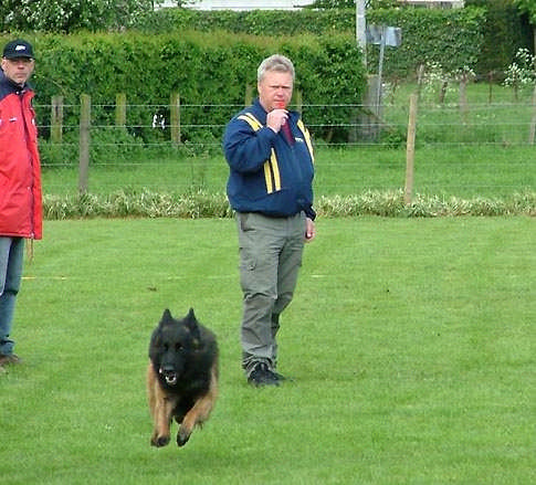 2011 Framåtsändande Föraren står stilla och hunden skickas rakt fram till dess att den passerar en linje eller att domaren beordrar föraren
