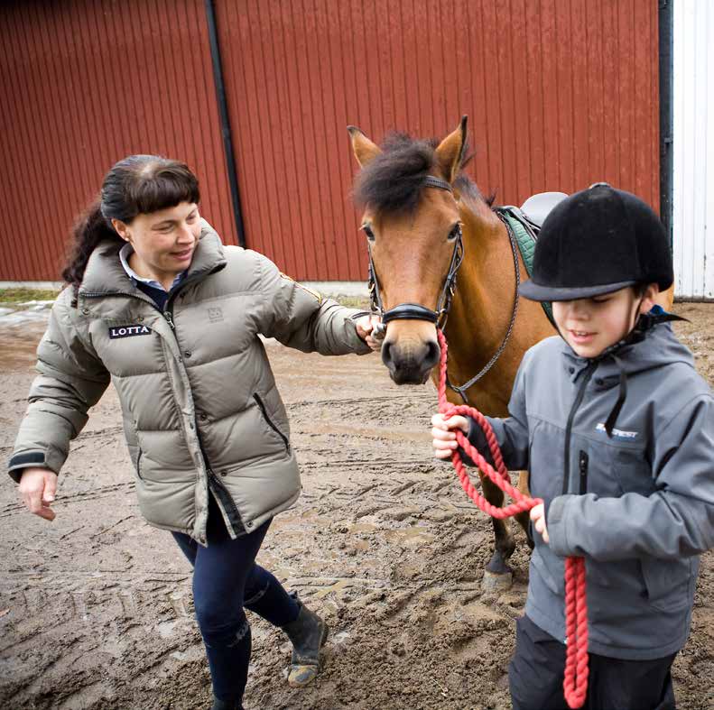 Hjälpmedel Det finns hjälpmedel som kan användas för att kompensera funktionsnedsättning vid ridning och körning. Som alltid är det viktigt att inte använda dem av slentrian utan när det behövs.