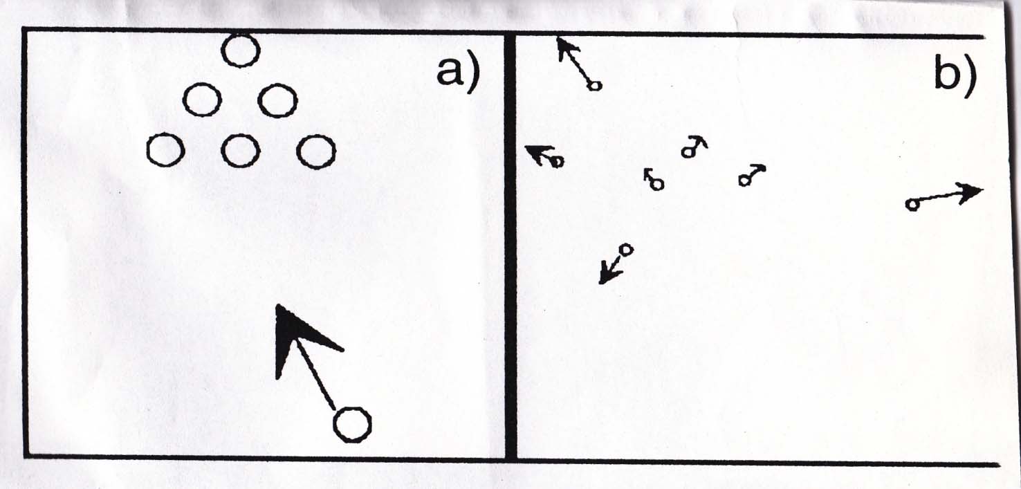 Ett biljardklot som kolliderar med ett annat är just en renodlad situation som ser ut att vara helt rimlig både på en film som är tagen normalt och den omvända.