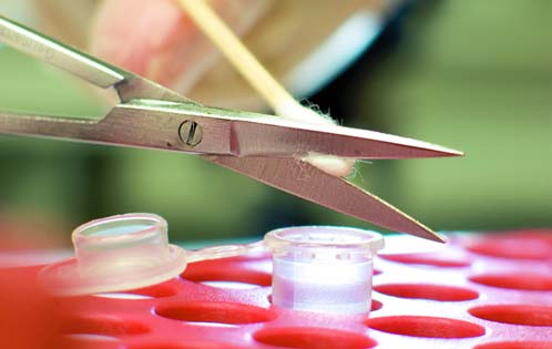 SÄRTRYCK UR KRIMINALTEKNIK NR 1-2005 Vad är DNA? DNA (Deoxyribo Nucleic Acid) är den kemiska benämningen på vår arvsmassa. DNA finns i alla cellkärnor.