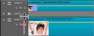 Ordna klipp i en film 95 Lägga till ett spår i tidslinjen 1 Välj Tidslinje > Lägg till spår.