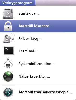 När installeraren startar upp, välj menyn Verktygsprogram > Återställ lösenord.