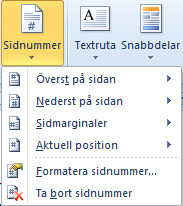 Om du har ett vanligt enkelt dokument med ganska få sidor, utan några avsnittsbrytningar, som du vill sidnumrera på samma sätt i hela dokumentet gör du så här: 1.