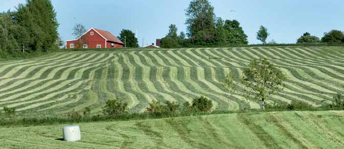 Utfodra klimatsmart Räkna med vallen som proteingröda Ändra balansen mellan grovfoder och proteingiva efter kons varierande behov under laktationsperioden.