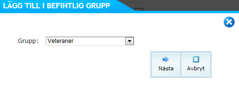 Om du vill att gruppen ska hamna i en grupp som redan finns klickar du på Lägg till i befintlig grupp. Välj vilken grupp den ska läggas till i genom att markera den i rullistan. Nästa. Lägg till ev.