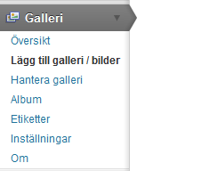 Bildgalleri Det finns ett antal olika bildgallerier som kan laddas ner som tillägg i WP. På Itlyftet har vi ett galleri som heter NextGEN. Vi ska nu skapa ett bildgalleri 1.