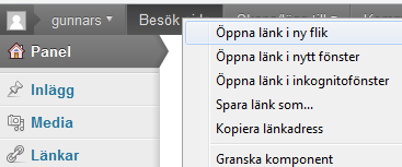 ARBETSYTAN I WORDPRESS I WordPress har du en Utsida (frontend) som är din webbplats som besökare kan se och en Insida (backend) där du jobbar och redigerar din webbplats.