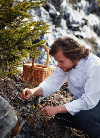 Med spännande ingredienser som rapsolja, magert viltkött och superbär som hjortron och havtorn utgör det Nordiska köket en