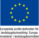 Lokal finansiering för lokal utveckling!