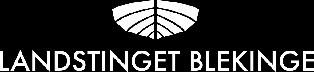 Ungdomskraft Blekinge Utvecklingsplan, Version