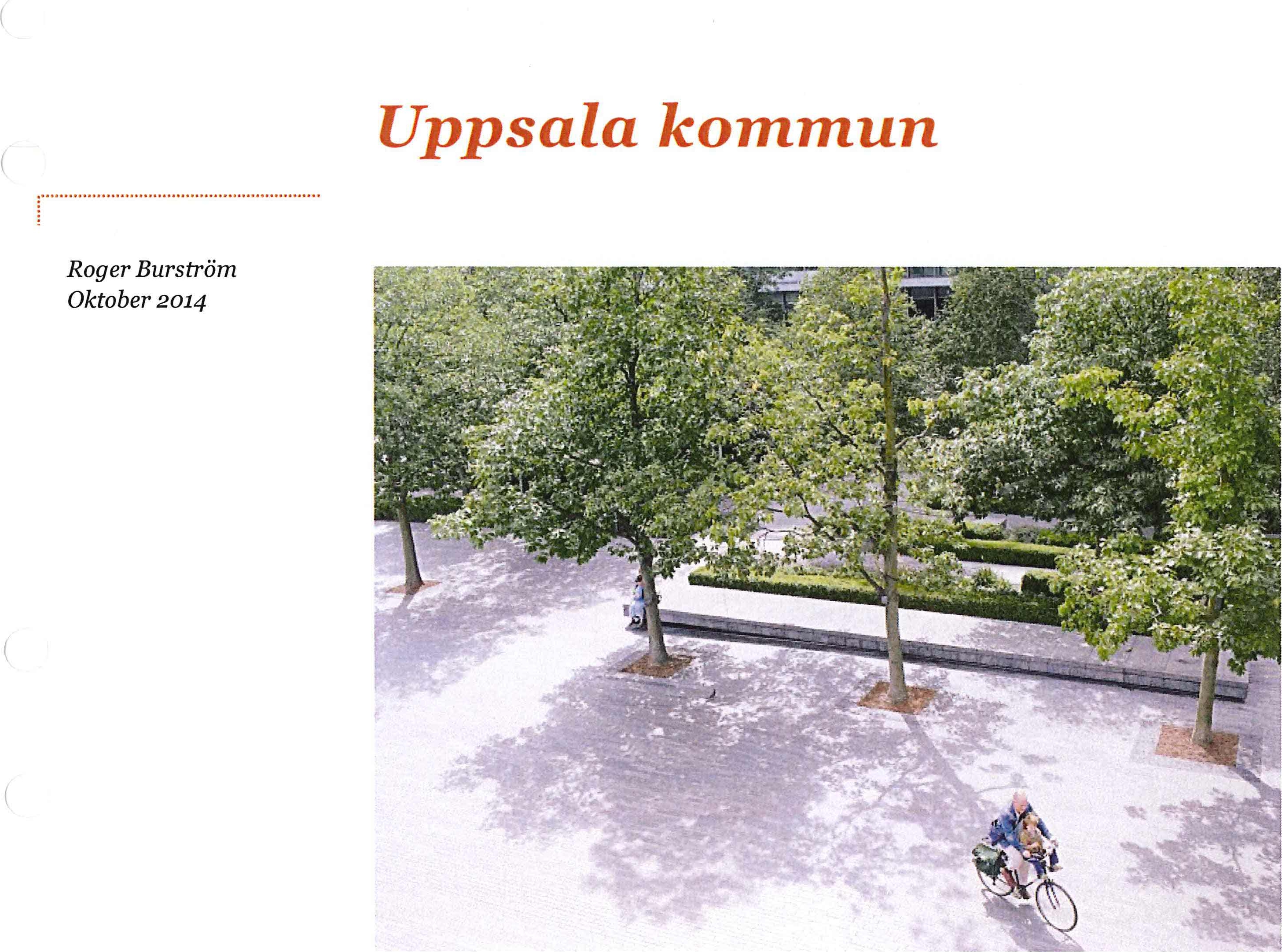 Förstudie/kartläggning Verksamheten vid kommunens