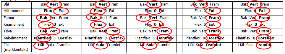 Resultat Moment och segment vinklar för ett ben: Att