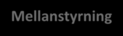 Traditionell syn på policystyrningsinstruments progression Information (sermons) Mjukstyrning Incitament (carrots) Mellanstyrning Reglering