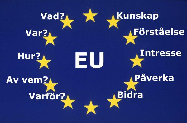Ja eller nej till EU? Den 13 november 1994 genomfördes en folkomröstning om EU-medlemskap i Sverige där svenska folket sa ja till EU.