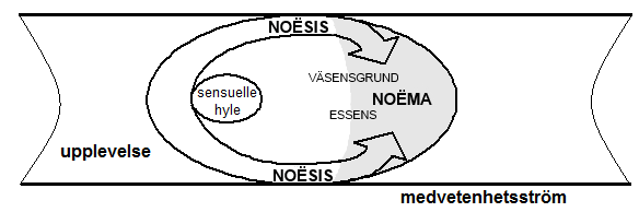 BILD 3. DEN EIDETISKA REDUKTIONEN (VÄSENSSKÅDANDE).