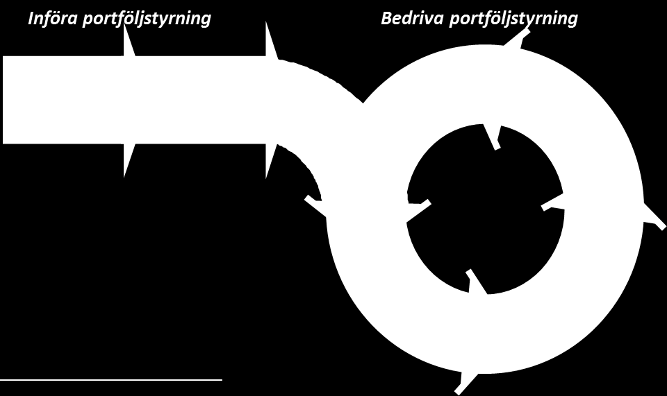 Figur 1: Portföljstyrning som en kontinuerlig process 1.