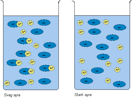 Syror Alla syror är sura. Alla syror lämnar ifrån sig vätejoner, H +. I en stark syra delas alla syramolekyler upp i vätejoner och negativa joner.