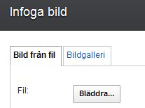 1. Markera den bild på panelen Presentationsbilder du vill infoga nya bilder i. 2. Välj Infoga > Bild eller klicka på Infoga bild i verktygsfältet. 3.