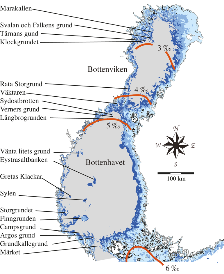 I Bottenhavet präglas Västernorrlands och Norra Medelpads kuster av höga berg som på flera håll stupar brant i havet. Kusten är flikig med mycket djupa fjärdar.