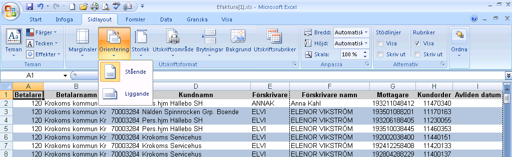 Kolumnen N/P/S visar om hjälpmedlet är (N) nytt för denna faktura, (P) pågående, alltså har funnits med på tidigare fakturor och kommer att fortsätta finnas på nästa, eller (S) sista gången det