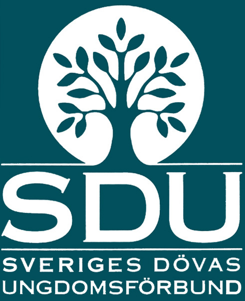 Efter ovanstående konferensserie ordnade Landsrådet för Sverige Ungdomsorganisationer (LSU) tillsammans med Ungdomsstyrelsen ytterligare en konfens där Ungdomsstyrelsen och Riksrevisionen