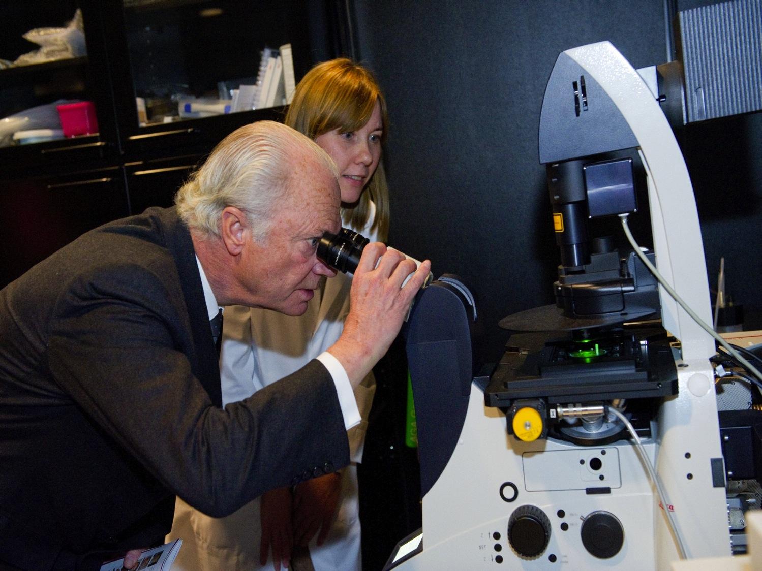 King Carl XVI Gustav identifies the curly form of