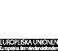 2.6 Spridning av resultat Ett mycket viktigt mål med medfinansieringen från fonderna är att erfarenheter och resultat från projektverksamheten sprids och påverkar den allmänna utvecklingen på området.