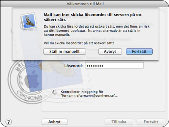 Klicka sedan Fortsätt. 2. Markera Ethernet och se till att Med DHCP är valt under Konfigurera. 2. Du kommer nu att se en dialogruta som frågar om du vill ställa in ditt e-postkonto manuellt.