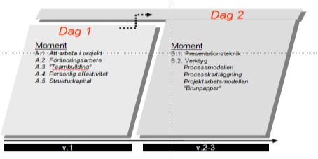 Karriärssteg i en tvåstegsraket I II Projektledare