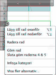 Om du vill gömma flera rader eller kolumner markerar du raderna eller en cell i varje rad eller kolumn och väljer sedan Göm markerade rader eller Göm markerade kolumner från popupmenyn för en