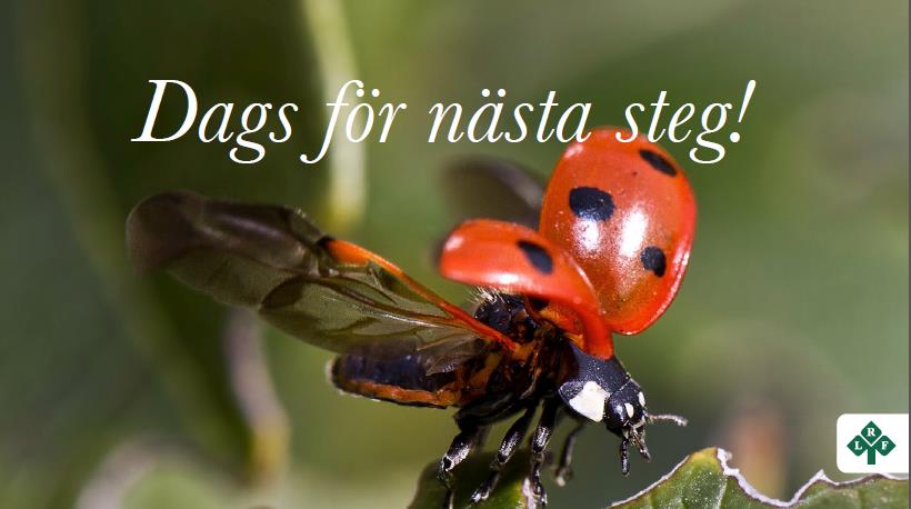 9 Värdet på den svenska livsmedelsproduktionen har ökat med åtta procent sedan 2010.