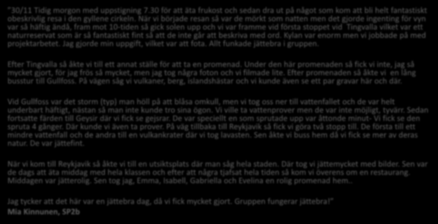 30/11 Tidig morgon med uppstigning 7.30 för att äta frukost och sedan dra ut på något som kom att bli helt fantastiskt obeskrivlig resa i den gyllene cirkeln.