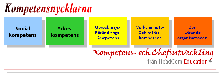 I mitt tankesätt och utifrån min erfarenhet inom begreppet kompetens vill jag, eller rättare sagt måste, och för att få en tydligare och mera konkret bild om vad kompetens verkligen innebär dela in