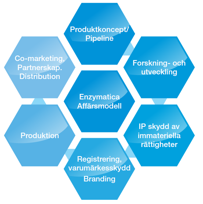 Vilket alternativ som Enzymatica väljer beror på den risk och förhandlingsförmåga bolaget har mot potentiella partners.