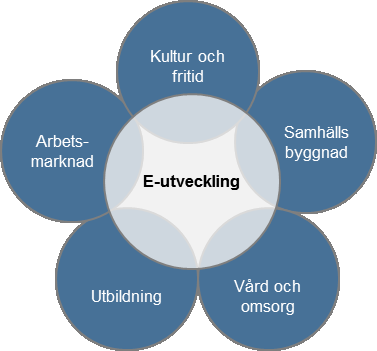 2.3 Vilka verksamhetsområden berörs av e-utveckling? E-utveckling eller e-förvaltning är (oftast) inget eget avgränsat område som hanteras av endast en kommunal verksamhet eller egen nämnd.