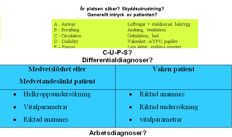 Del D Algoritmer, arbetsprocesser AMLS flödesschema S Signs & symtom Tecken och huvudsymtom? O P Q R S T Onset Palliation Quality Radiation Severity Time Hur började symtomen?
