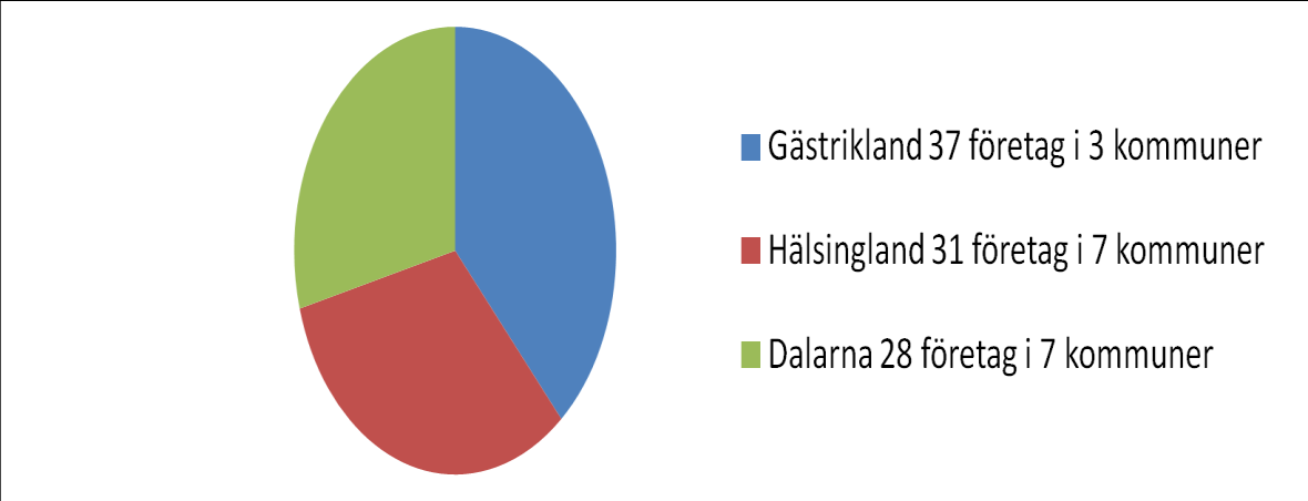 Inventering av SMF 96 företag i 17 olika kommuner i tre landskap: Omsättning: 0,5 300 mkr,