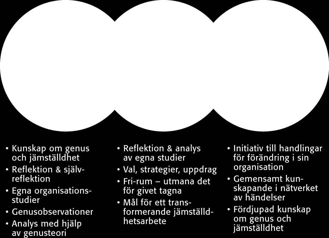 Gruppernas uppgift och funktion var tydligt uttalade i båda faserna. Projektet syftade till att främja genusmedvetet ledarskap och lärosätets utveckling.