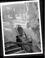 11 År 2011 OP-Pohjola-gruppens årsrapport 2011 1912 Brandförsäkringsaktiebolaget Pohjola gick in på Helsingfors värdepappersbörs.