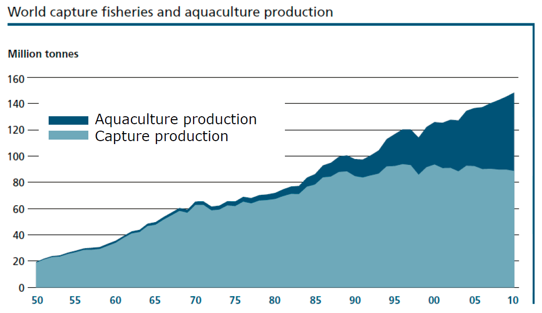 Fiskproduktion globalt Källa: FAO State