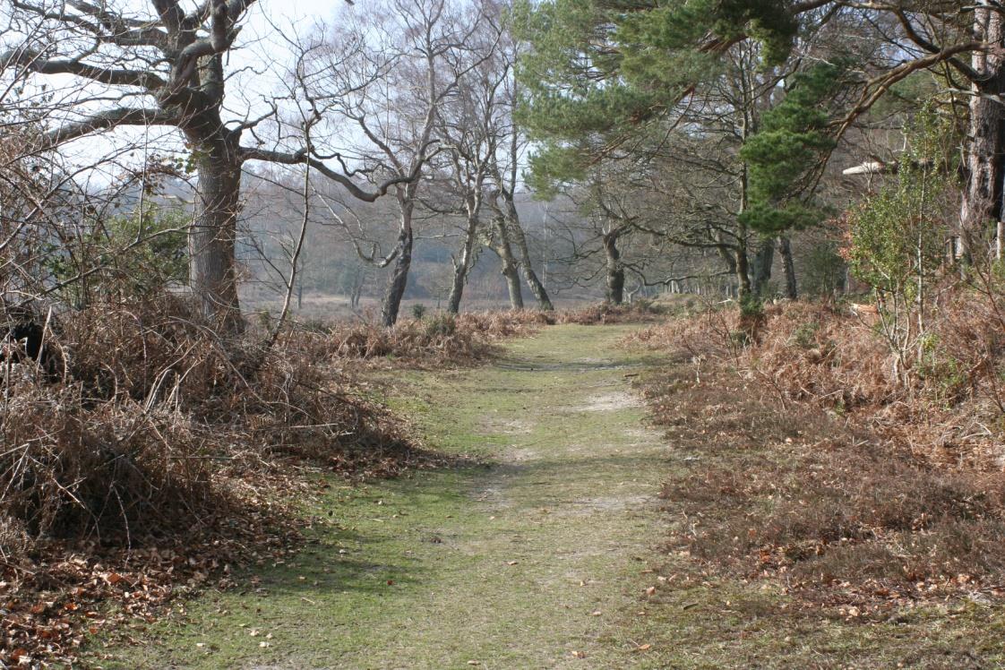 4) Landstinget Gävleborg Pär Månsson