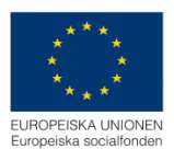 6. Utvecklingsprogram för företagsledare Utvecklingsprogrammet för företagsledarprogrammet i Skåneakademier 4-YES har haft IUC Skåne som leverantör (för offentlig upphandling se sid 21 ).