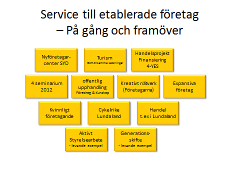 Småföretagen är en stor och viktig drivkraft i vårt näringsliv Småföretagare ha ett behov av: arenor för nätverk, kunskap, feedback och tid för reflektion kunskap och koordinering av