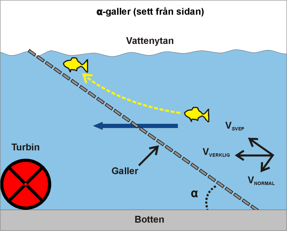 Principer avledning För att leda fisk