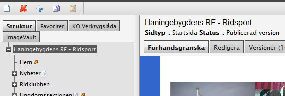 Allmänna funktioner Hemsidan Startsidan på er förenings hemsida hos IdrottOnline är uppbyggd av ett sidhuvud, en huvudmeny och ett antal boxar.