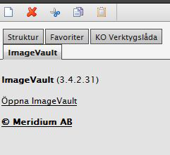 Bildhantering Lägg till bild Klicka på fliken ImageVault och välj Öppna ImageVault. Välj sedan Ladda upp fil.
